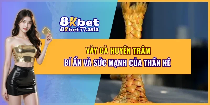 Vảy Gà Huyền Trâm